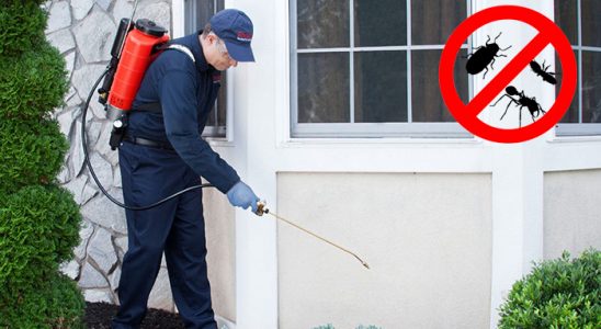 Yazıhan Hamam Böceği İlaçlama böcek ilaçlama ve haşere kontrolü — ilaclama-tr.com